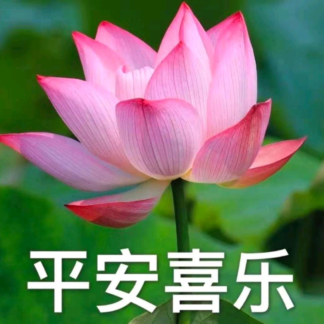 平平安安