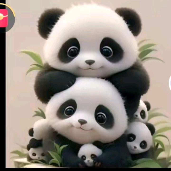 米须须的小宝贝