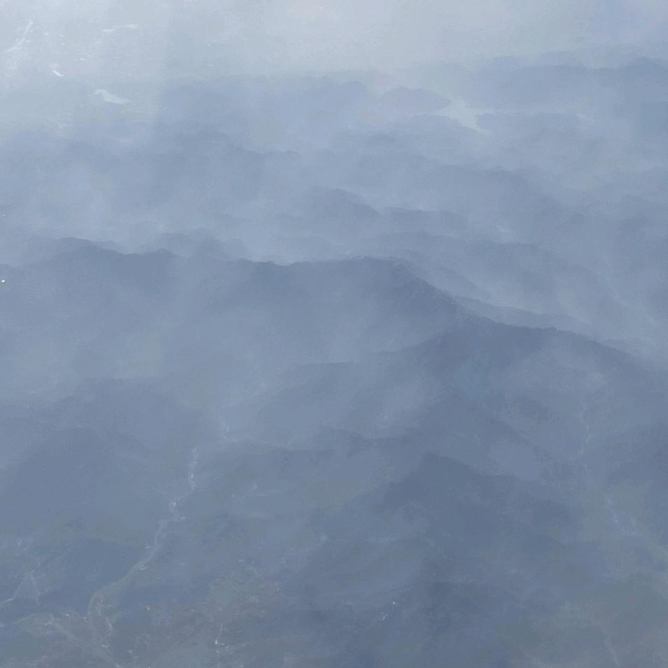 地瓜片