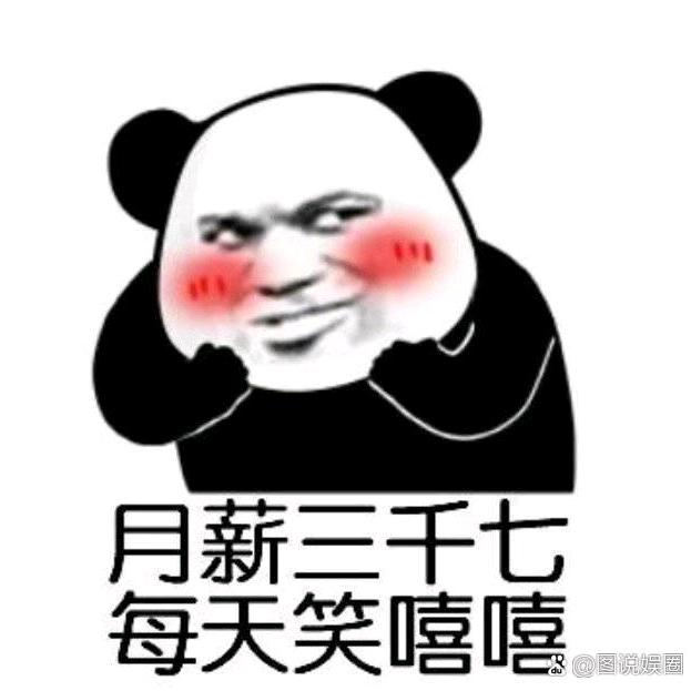 白菜小哥