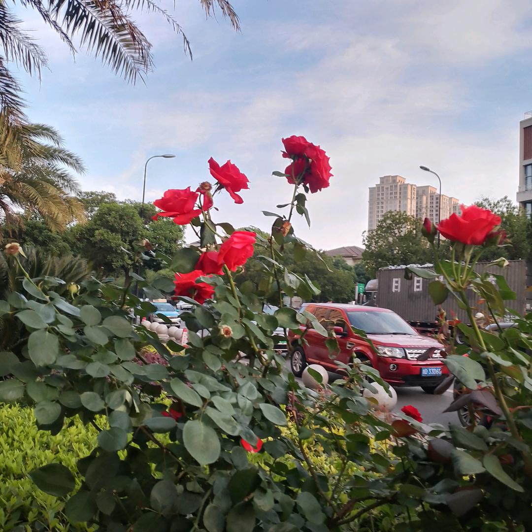 熊水芝