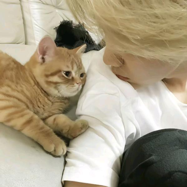 爱唱歌的风起（无畏契约手游）