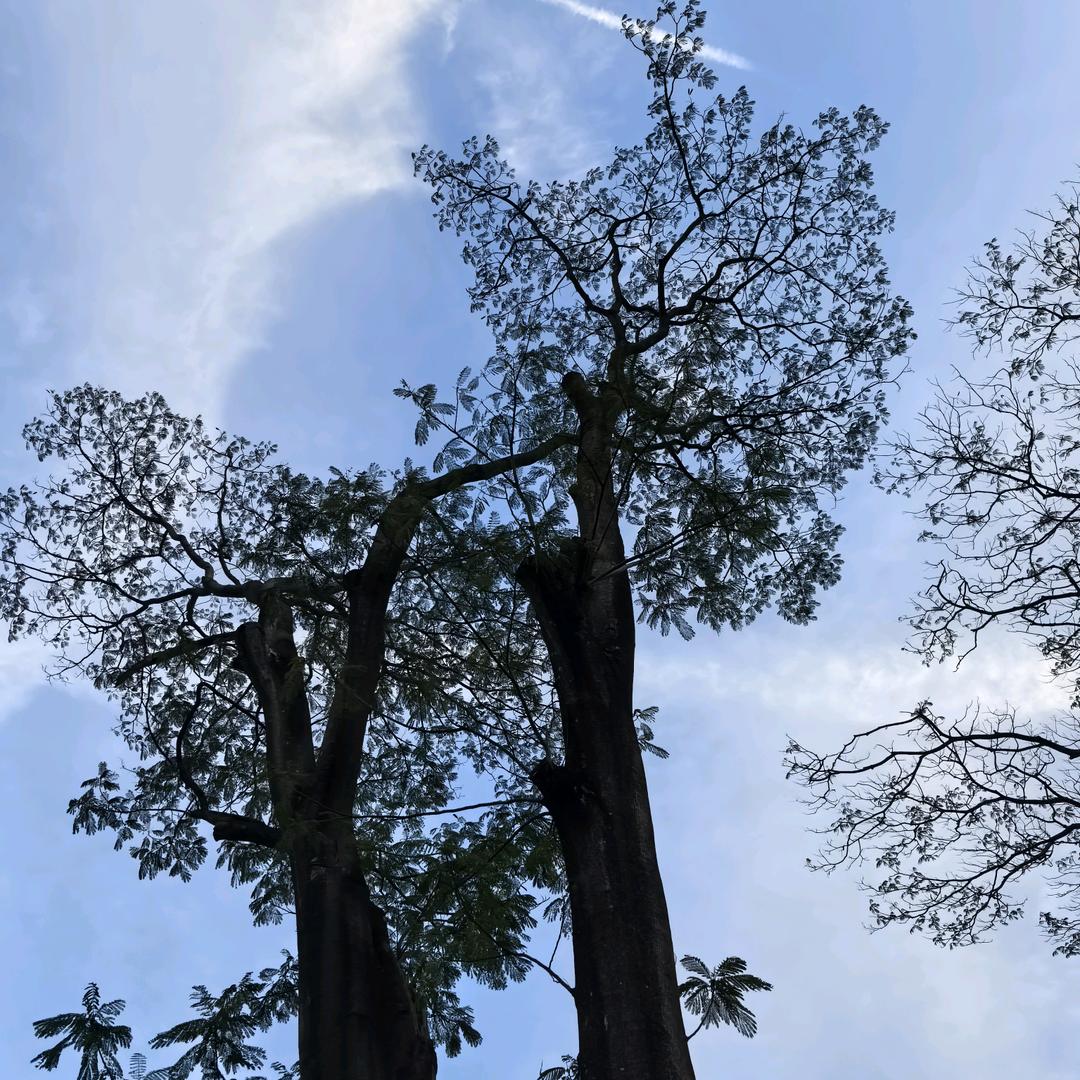 黄先生 选🚗指南