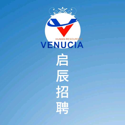 启辰招聘