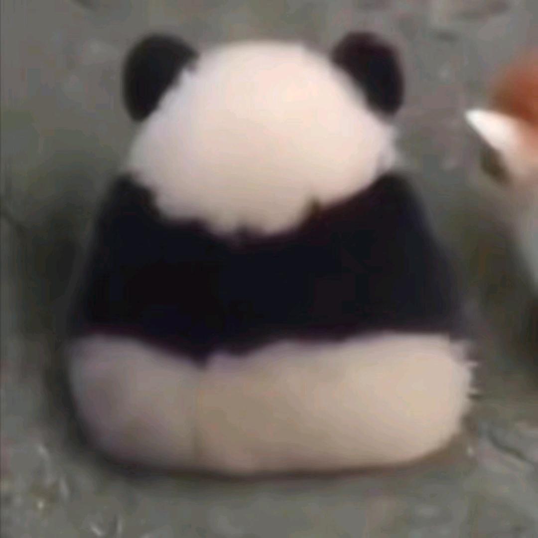 披萨饼