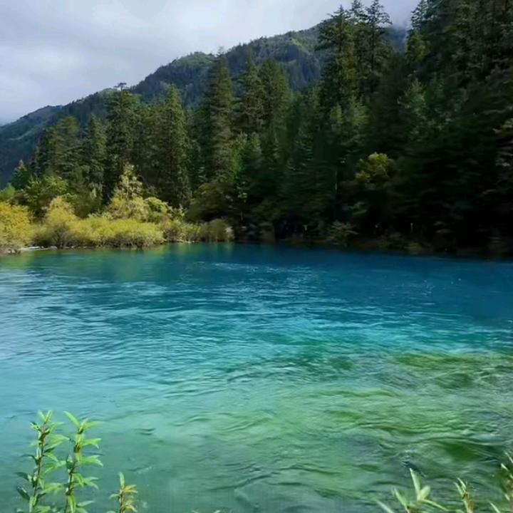 失望绝望音乐