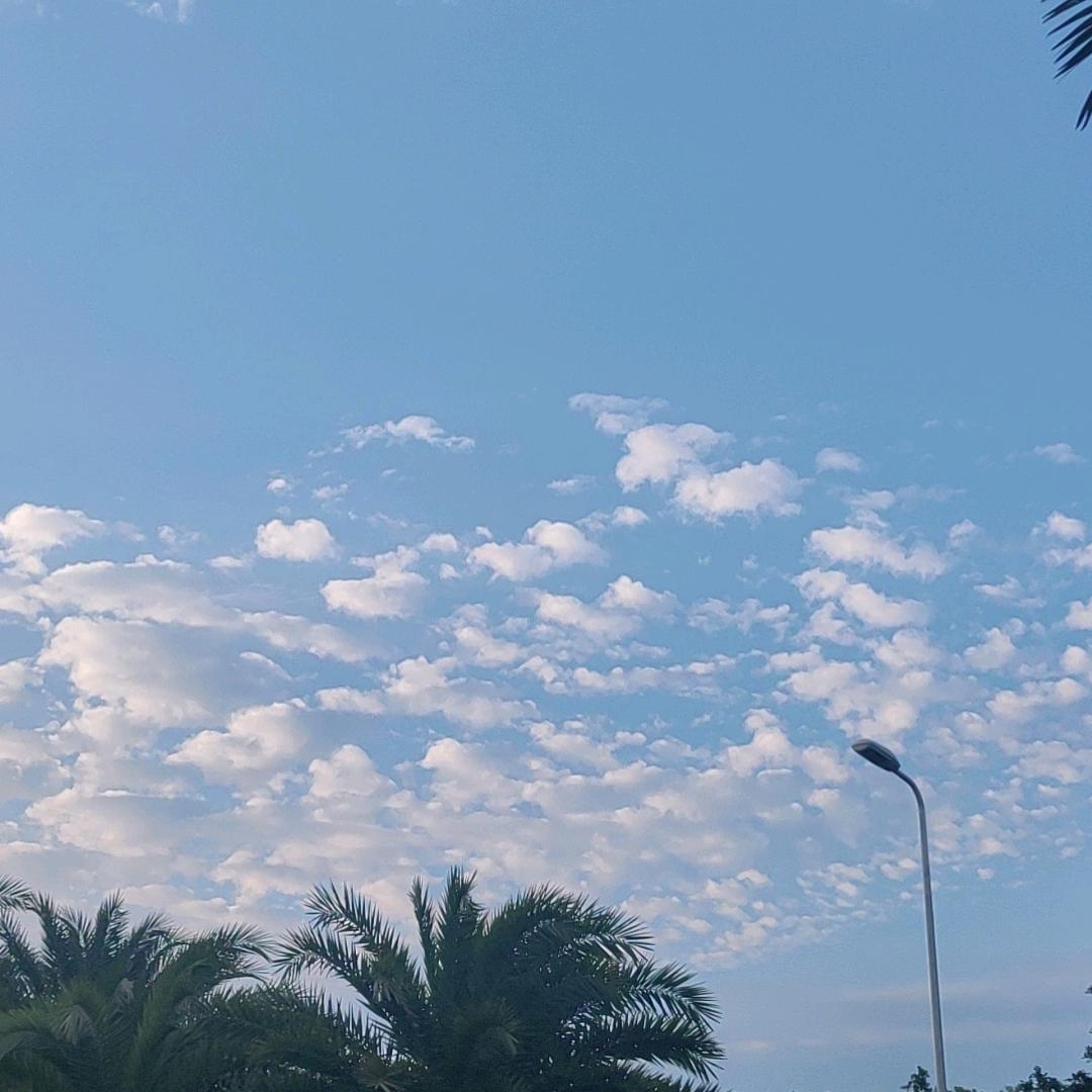 春风不解秋意浓