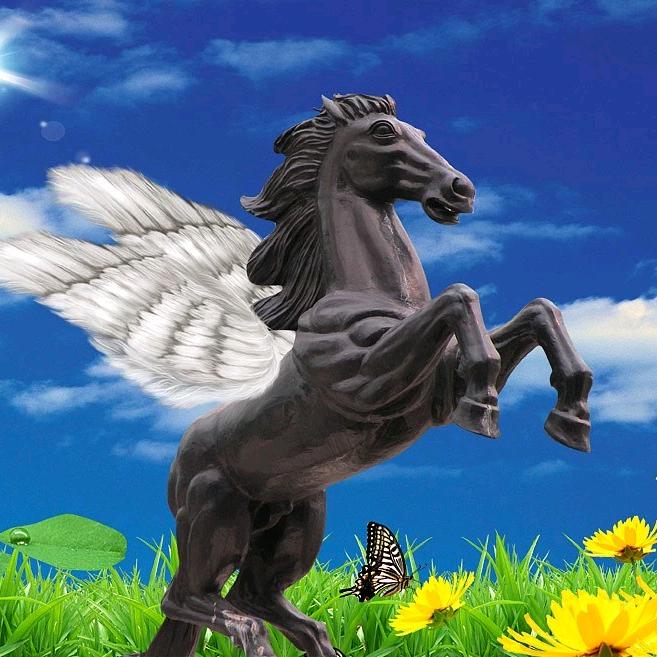 秦皇岛导游阿强