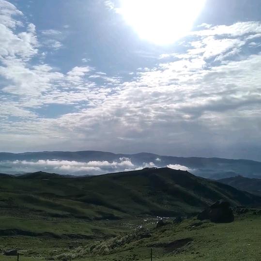 草原飞哥