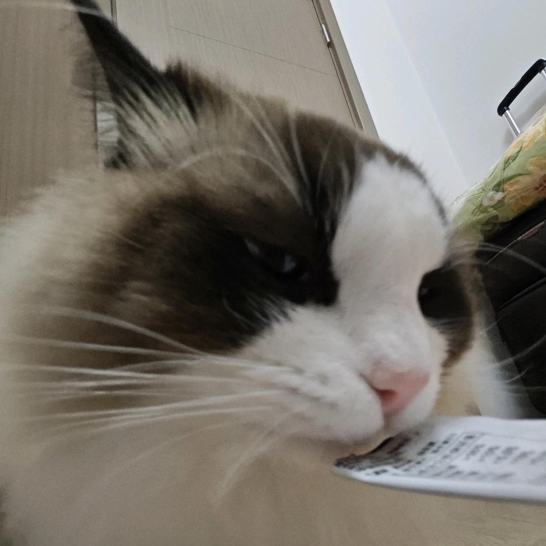 咚咙豆呛