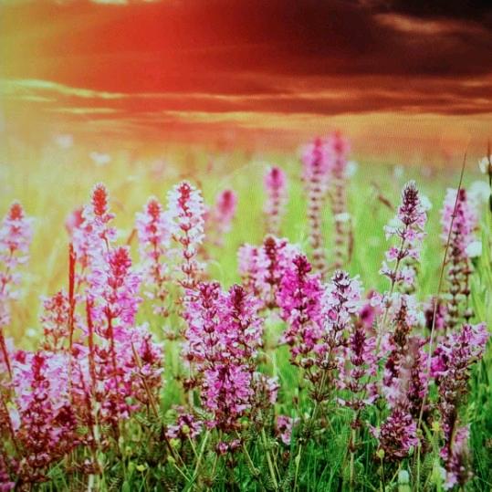 放飞心情，拒私聊