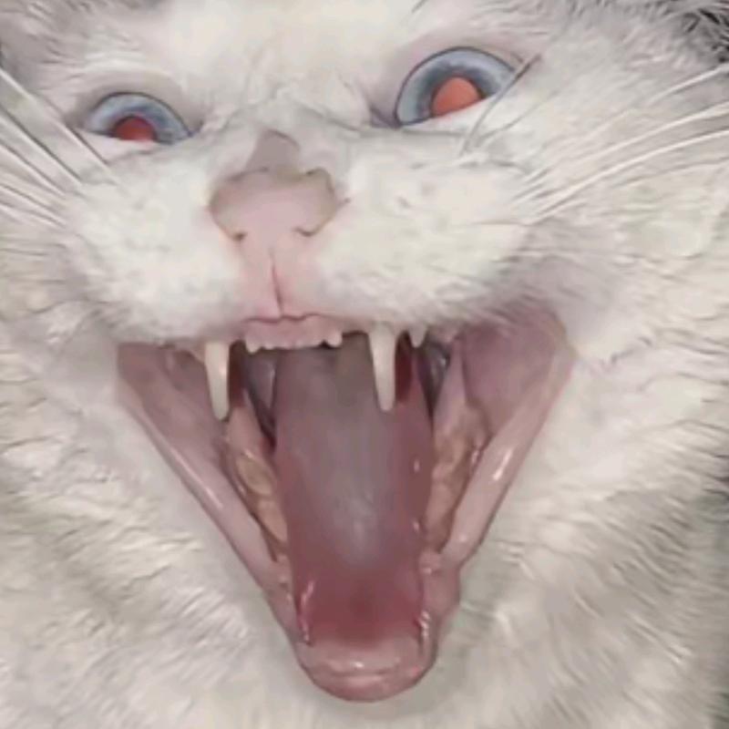 死亡才是最搞笑的东西