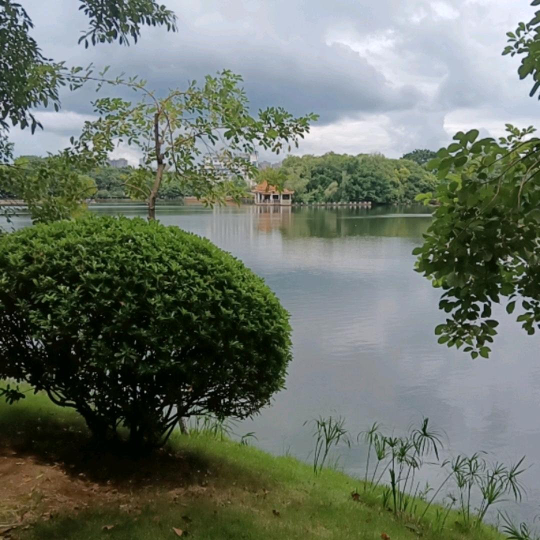 东辉