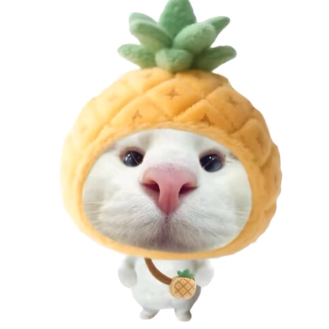 菠萝猫