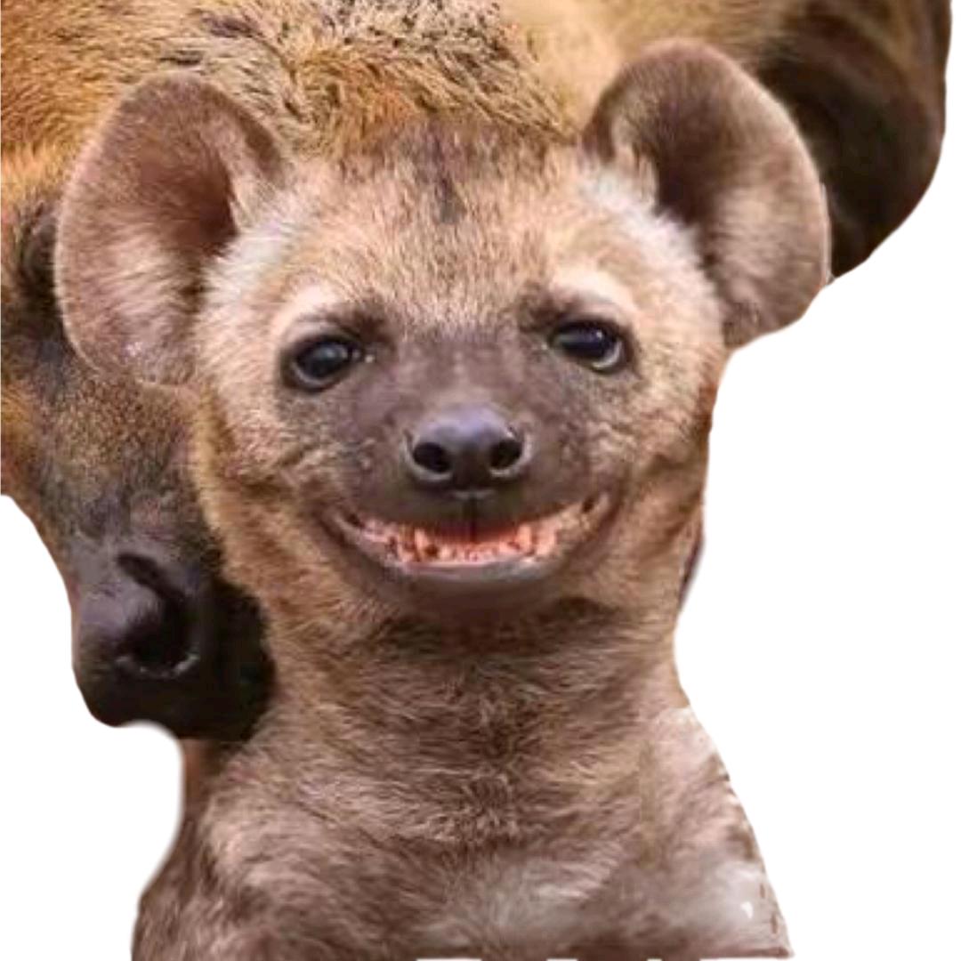 -/-