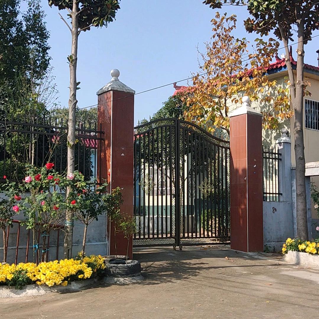 老杨，