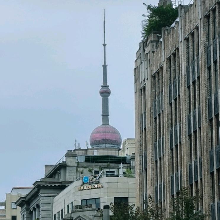 栀子花💐