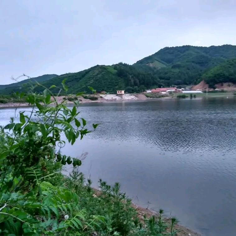 李哥