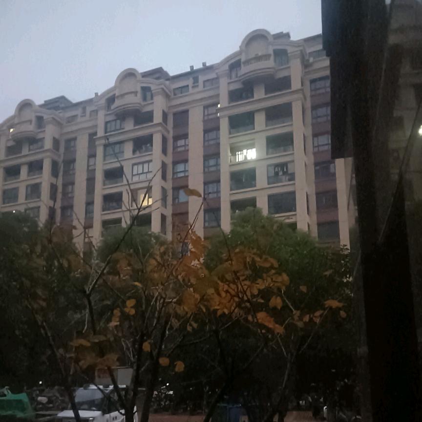好好爱妻