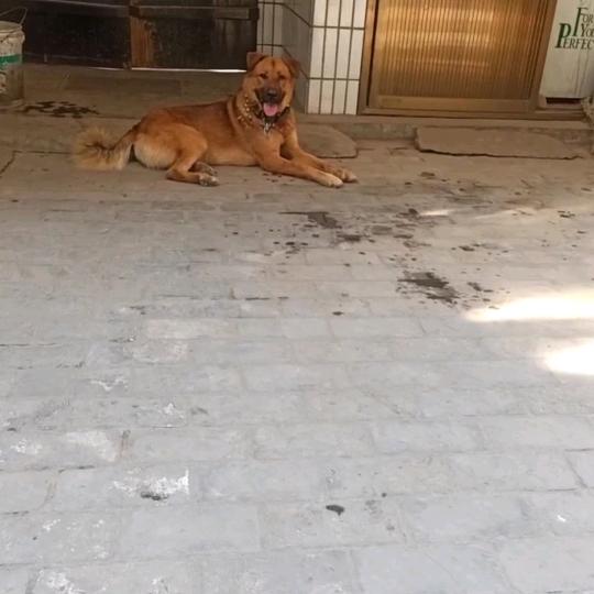 一绝烤翅