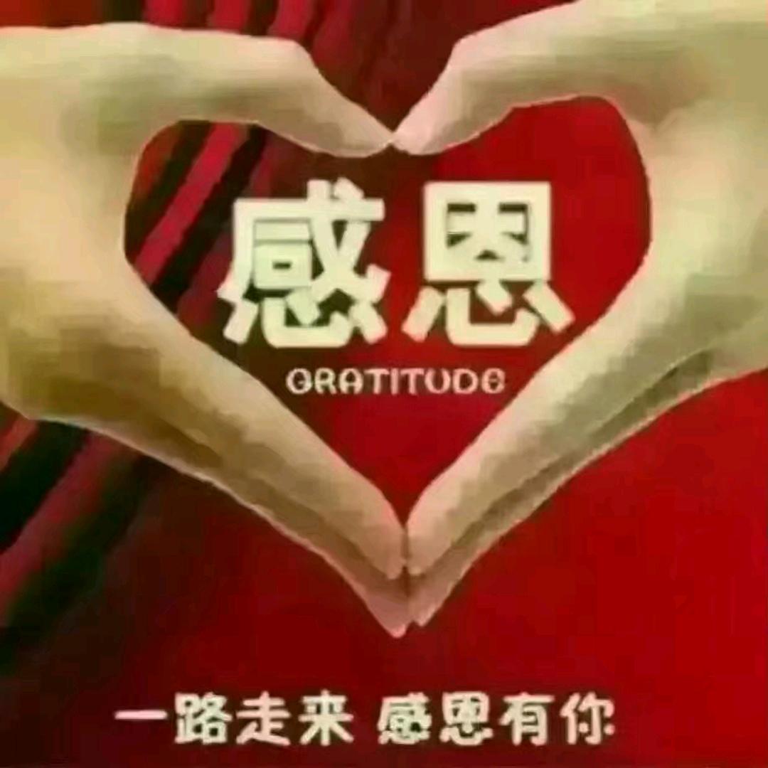 军哥
