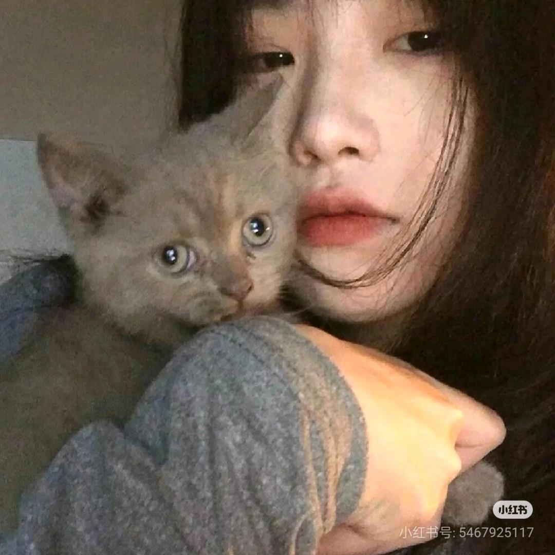 深情腿毛猛踢一脚