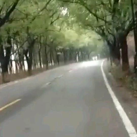 夂覞(zhong.yao)