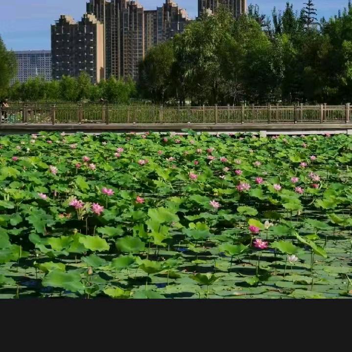 啊莲🌴🌴🌴🌴