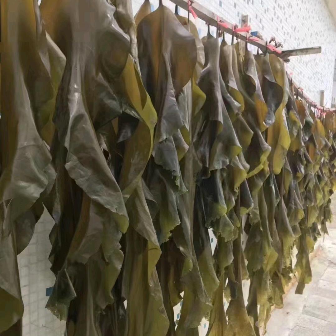 摆地摊的眼镜（海带批发）