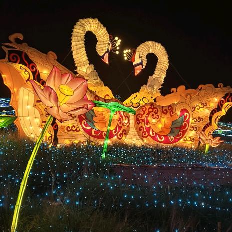 🐉龙.