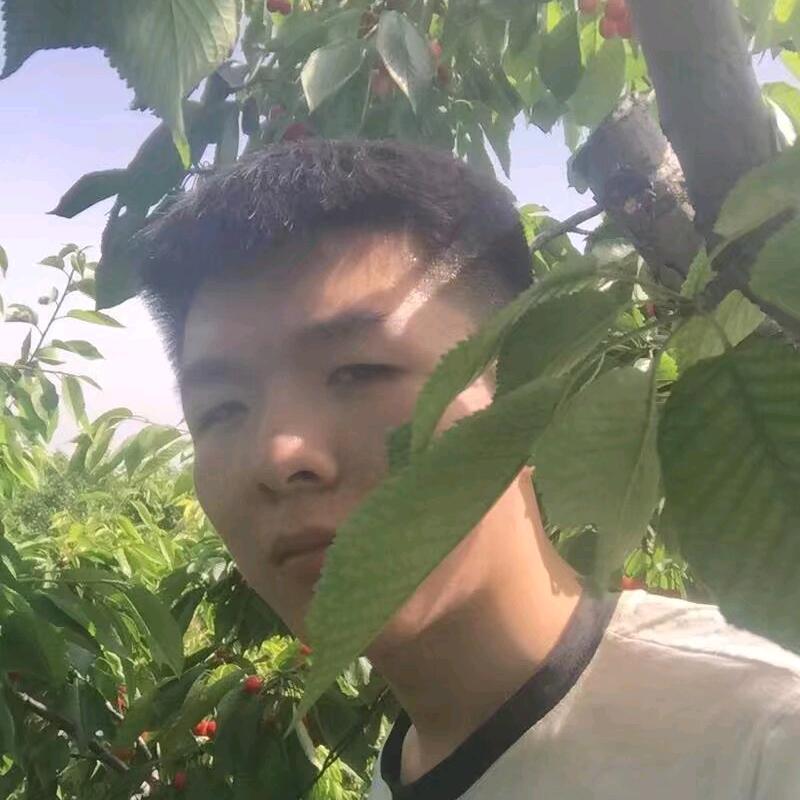 路由心走