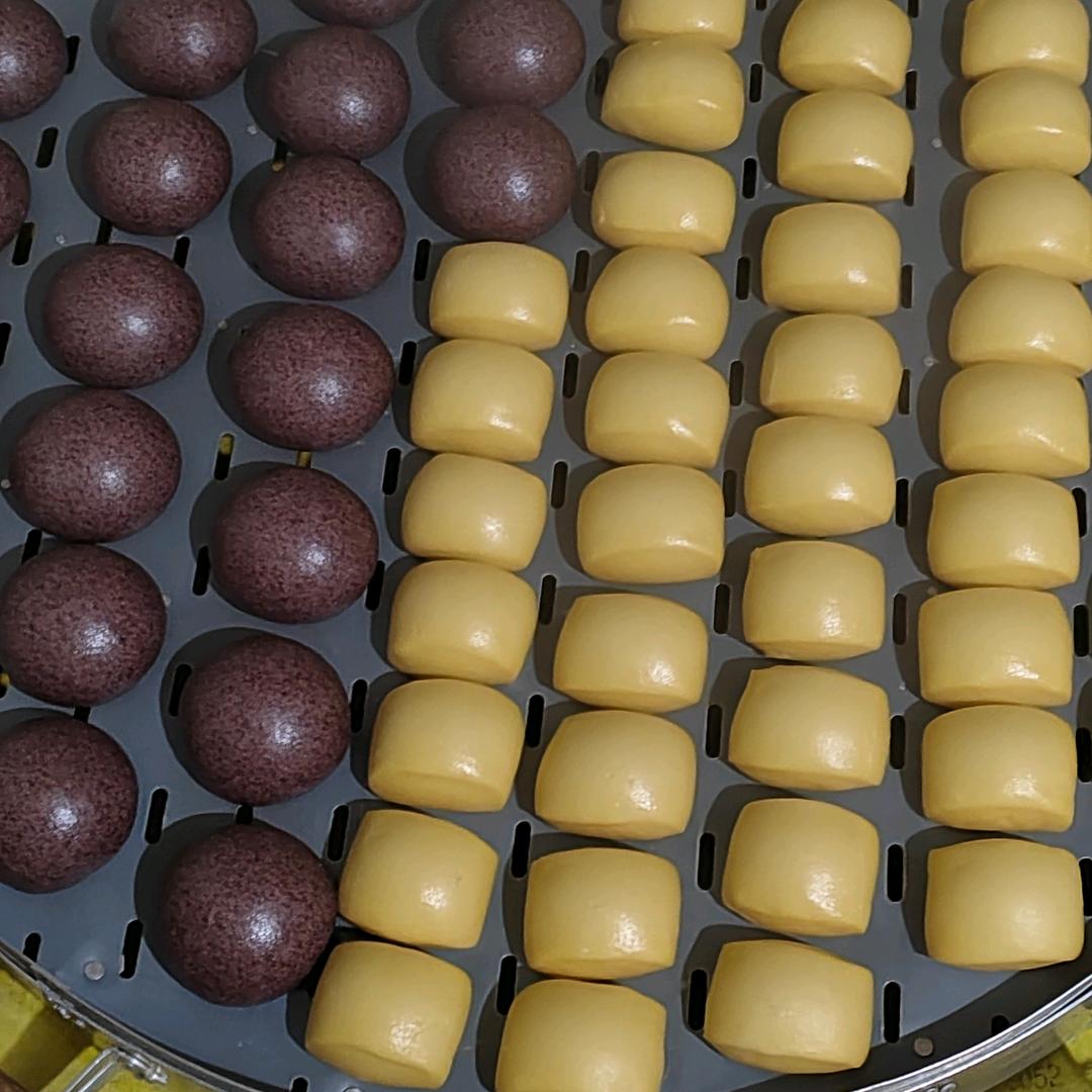 田屯邵家老面馒头