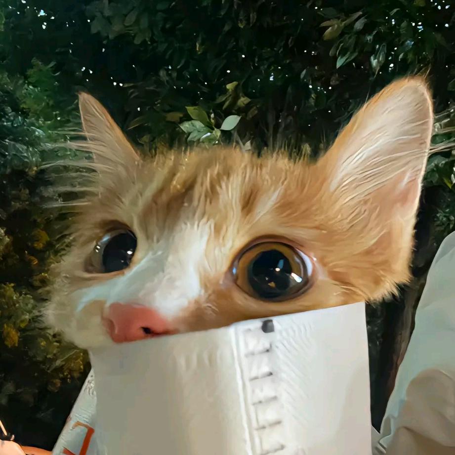 我是晚吟