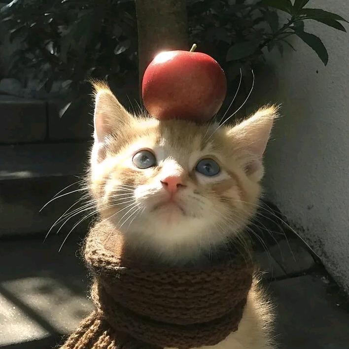 🍎～