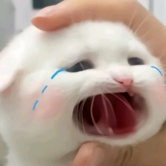 几度雨停