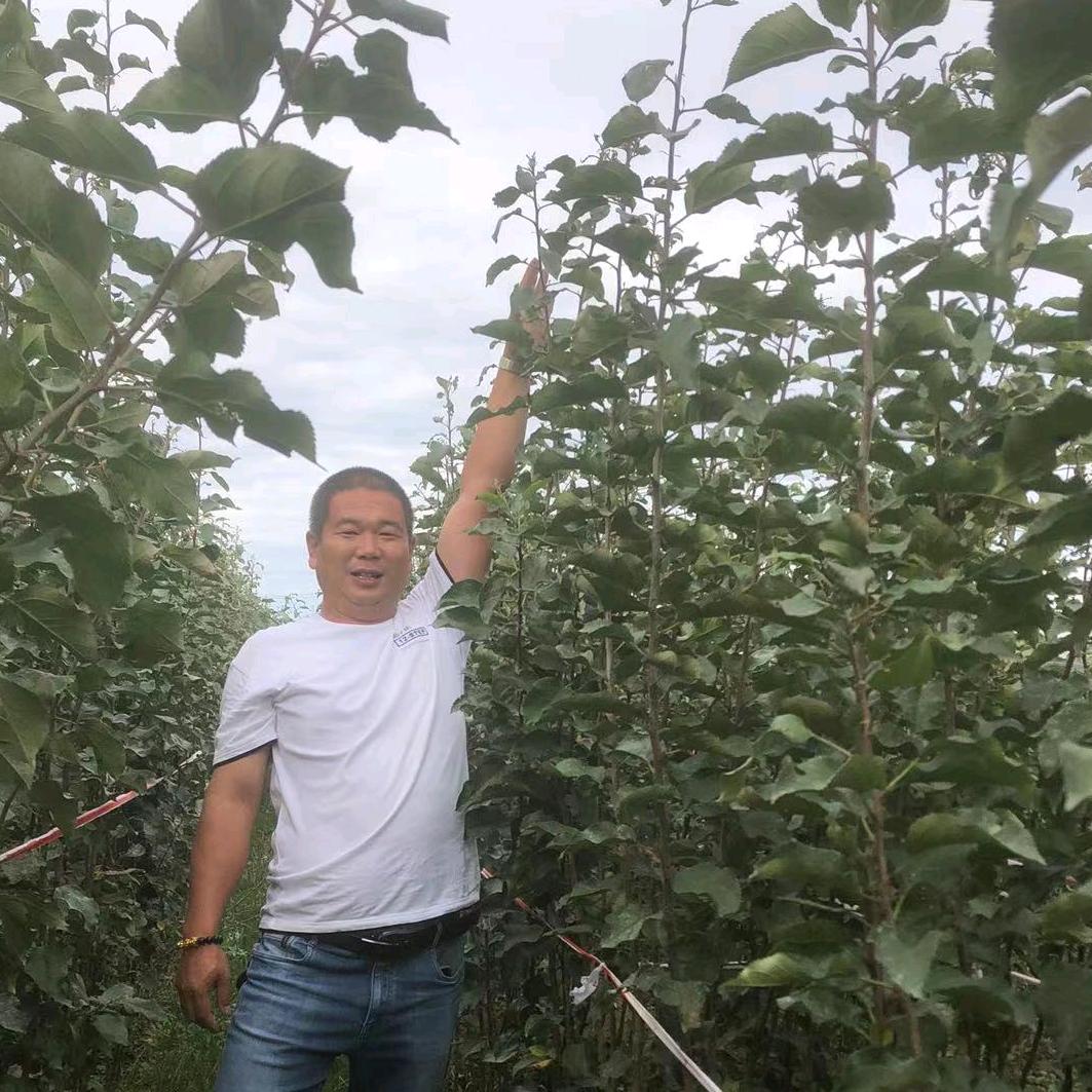 洋洋果树苗木基地