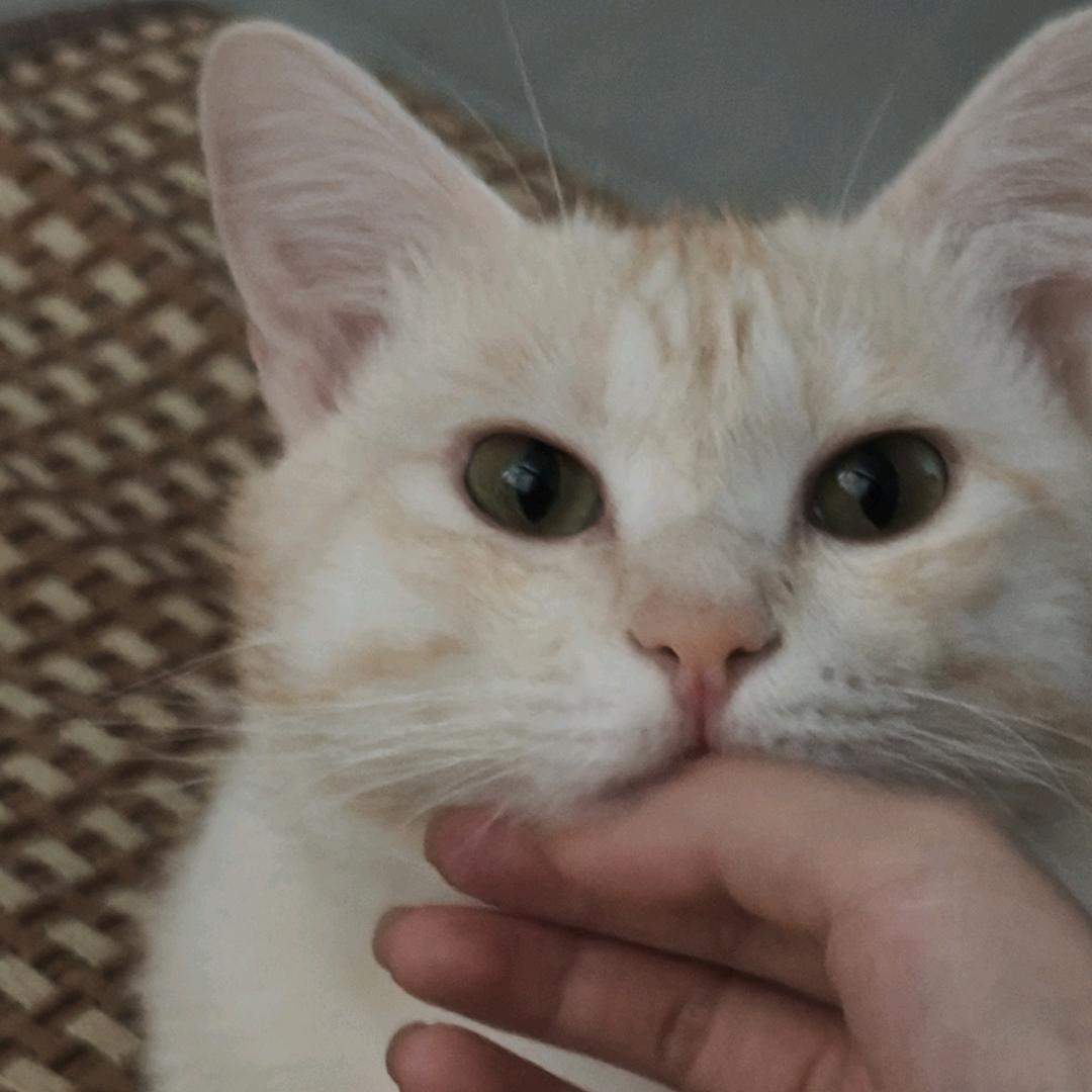 最后、