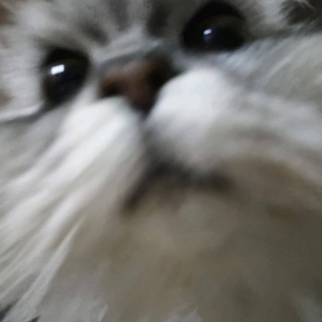肆欲小颖