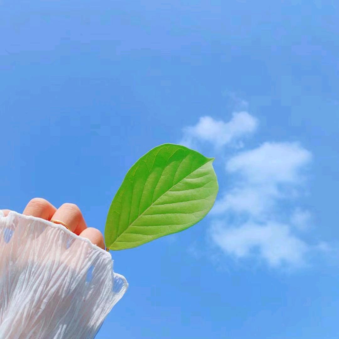 岁月安好