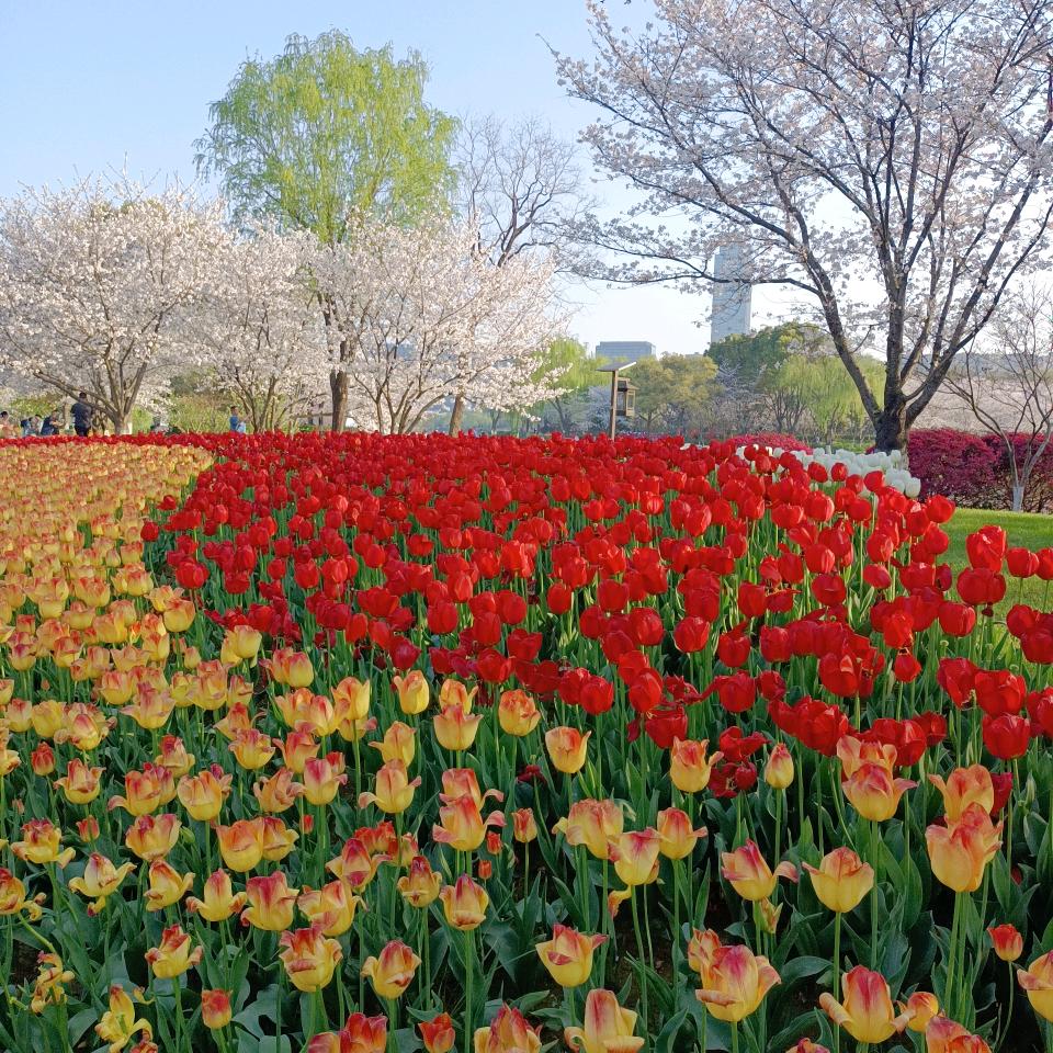 姐(❁´◡`❁)限㊋量版