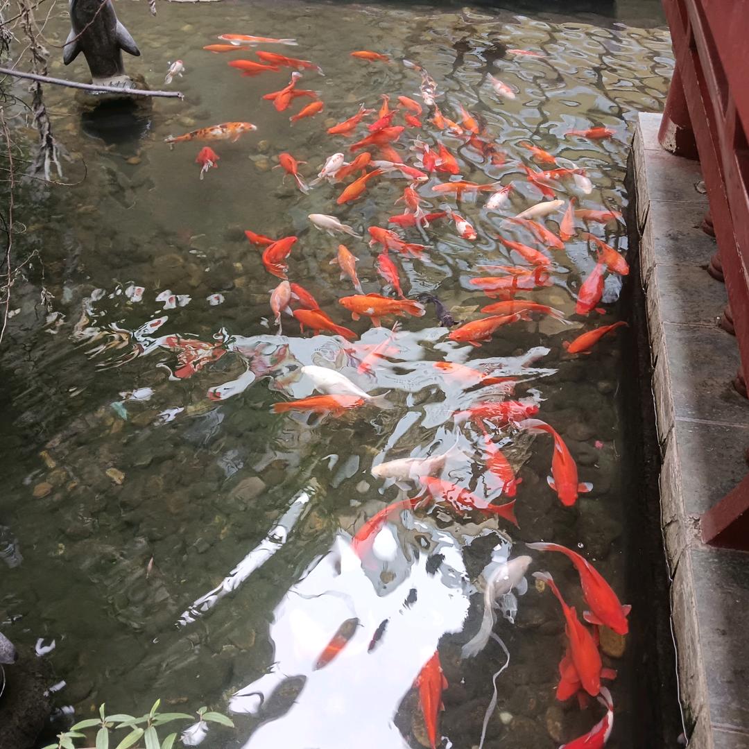 彩虹🌈