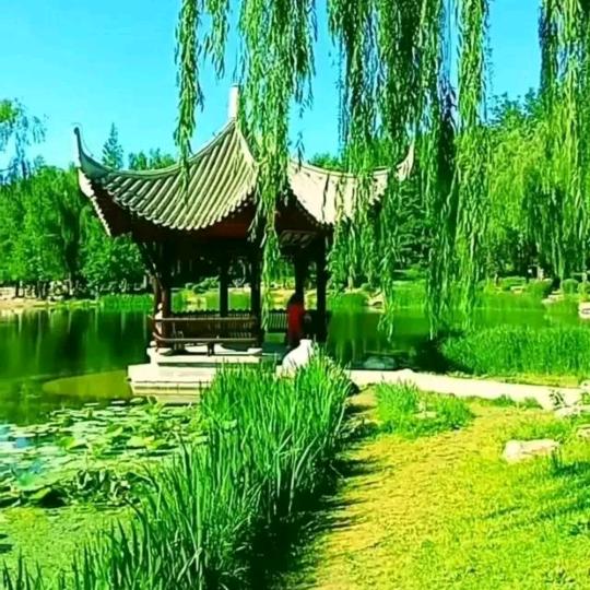 小宇妈小号