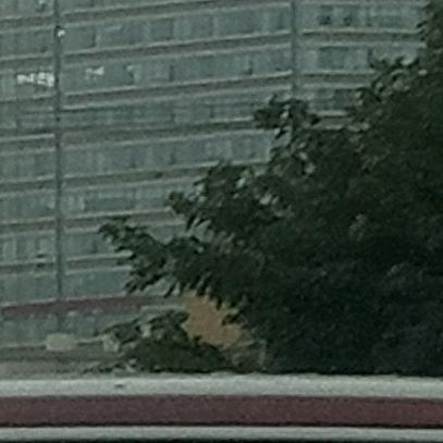 雷迪森-潮牌好货