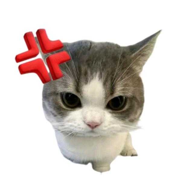 无无语子