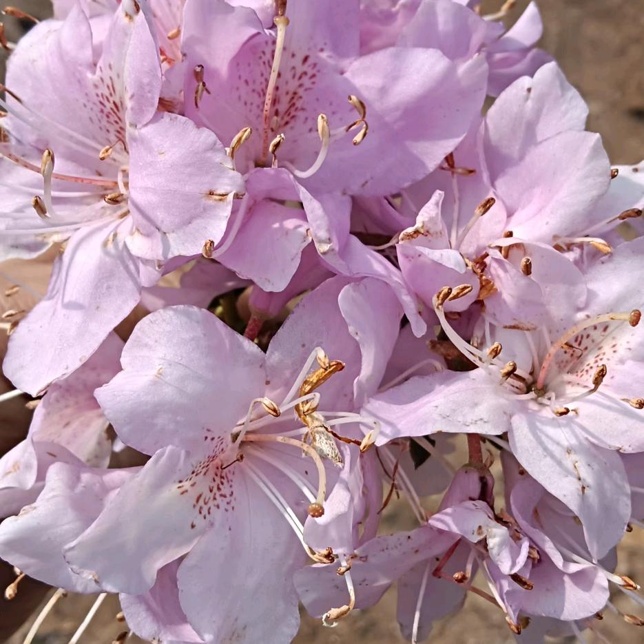 风里雨里想起你