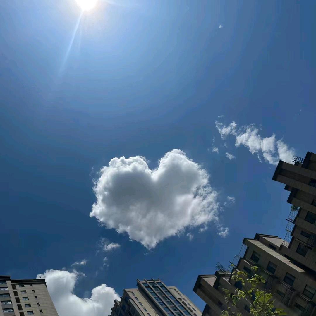 香香的