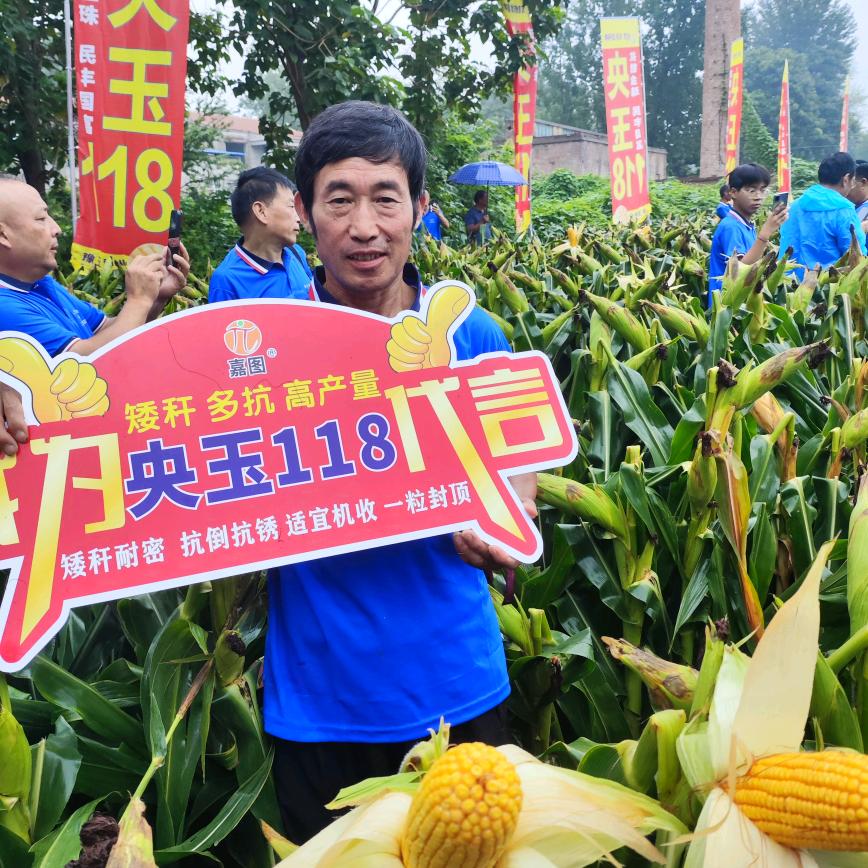 A大漫流现的农资门市