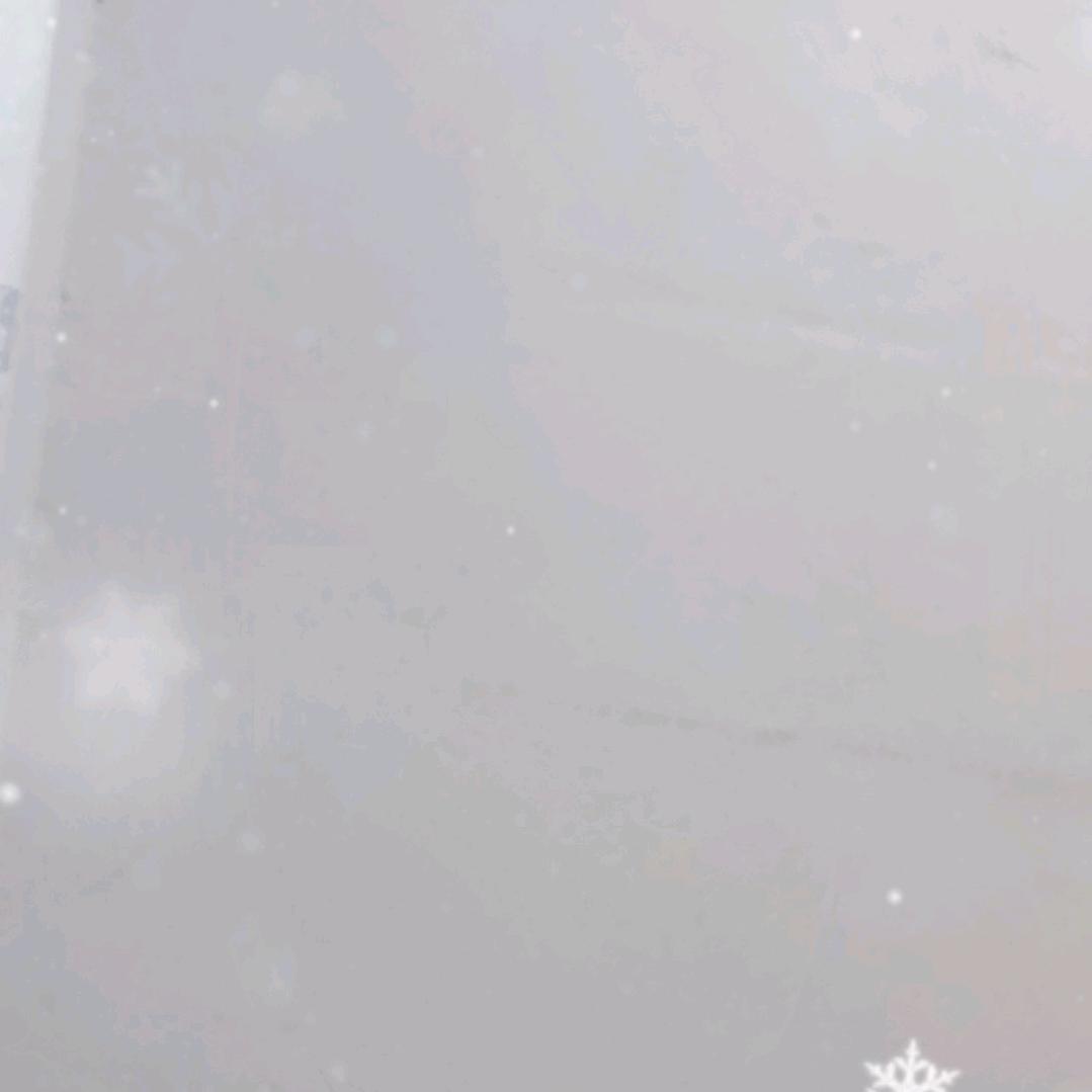 丽丽