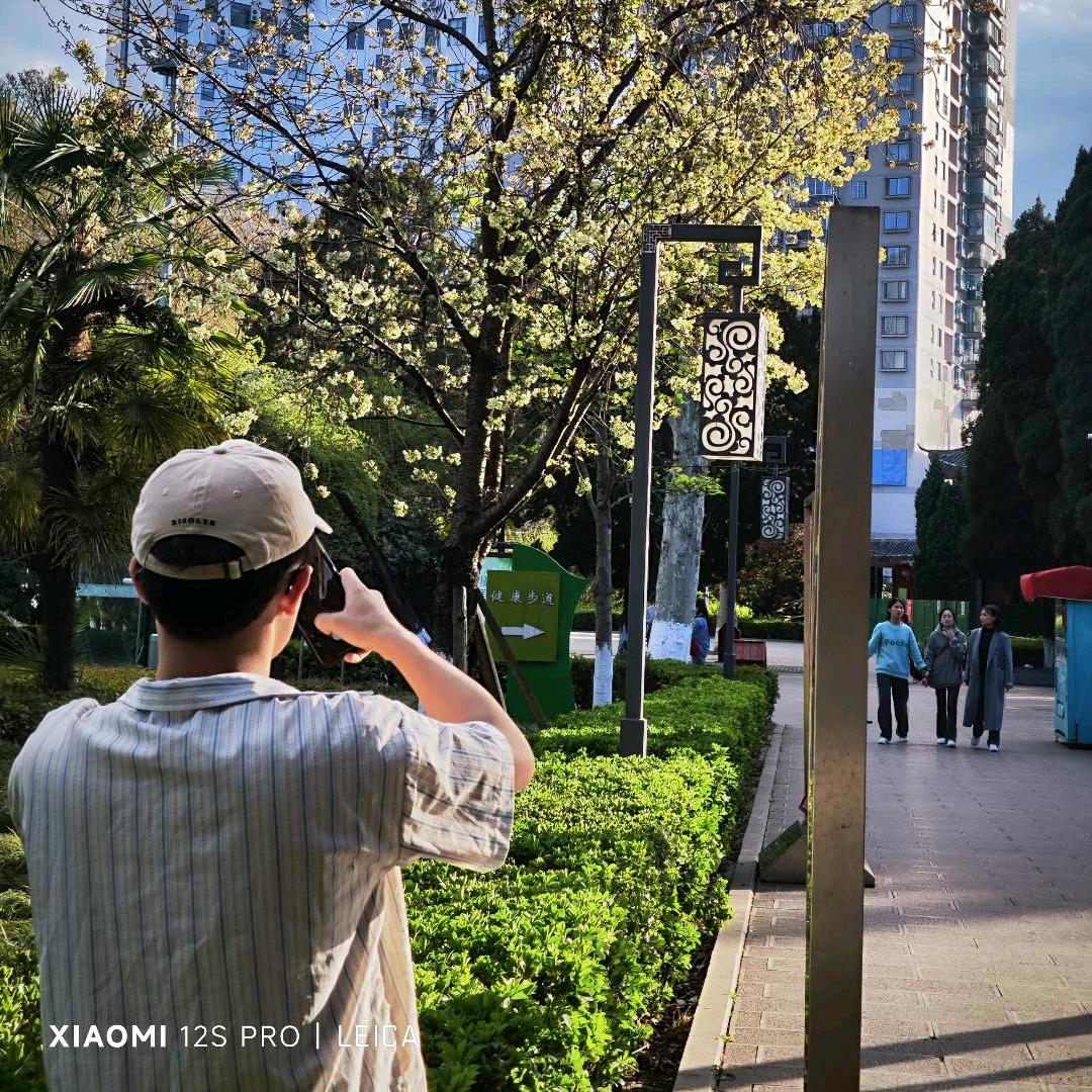 贵州乾瑞达汽车服务有限公司-羊羽