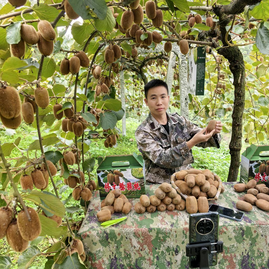 修文县黔猕行种植基地～小胡豆